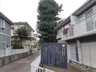 P8270072.JPG