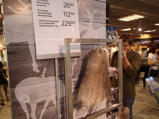 P9010070.JPG