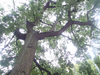 P9020179.JPG