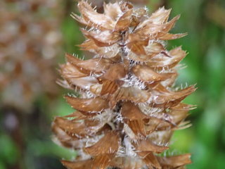 P9080191.JPG