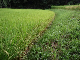 P9110002.JPG