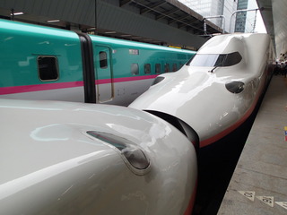 P9120004.JPG