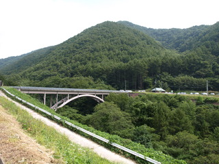 P9125178.JPG