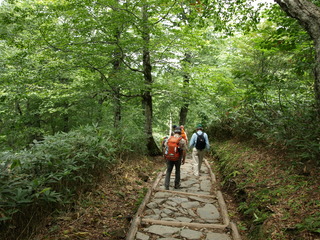 P9125208.JPG