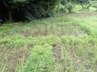 P9130005.JPG