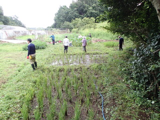 P9130073.JPG