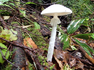 P9130192.JPG