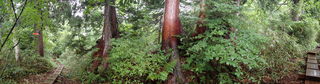 P9130200.JPG