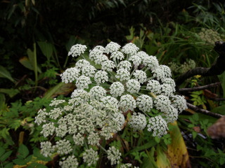 P9135443.JPG