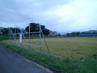 P9140017.JPG