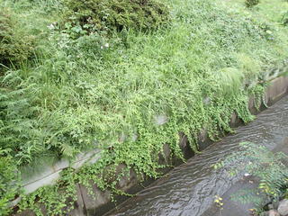 P9210009.JPG