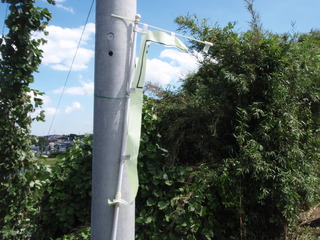 P9220003.JPG