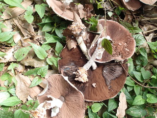 P9220008.JPG