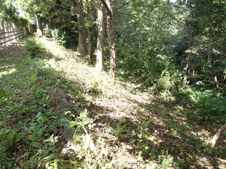 P9220053.JPG