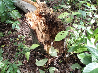 P9230007.JPG