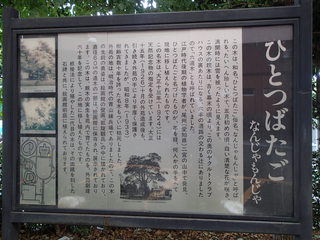P9230031.JPG