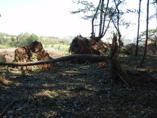 P9240006.JPG