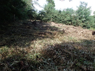 P9250021.JPG