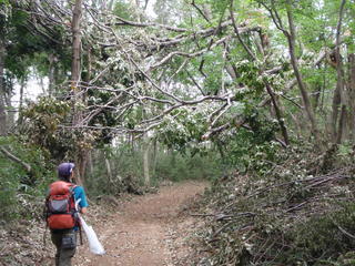 P9300009.JPG