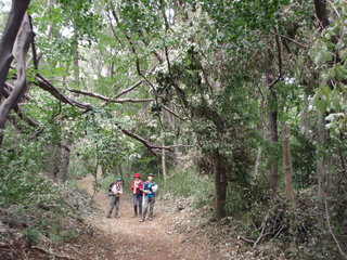 P9300011.JPG