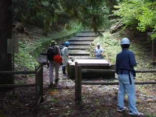 PA010006.JPG