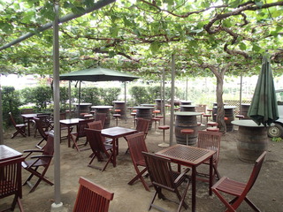 PA010014.JPG