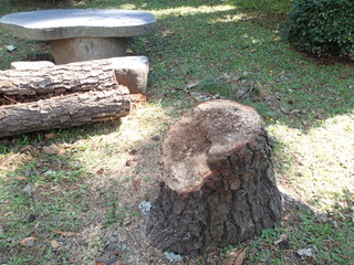 PA020010.JPG