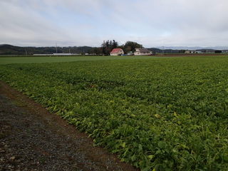 PA050154.JPG