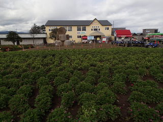 PA050224.JPG