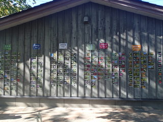 PA060441.JPG