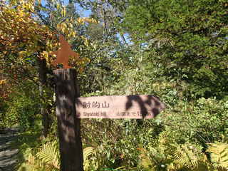 PA060471.JPG