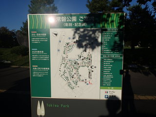 PA060509.JPG