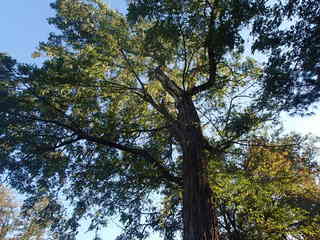 PA060523.JPG