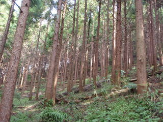 PA090013.JPG