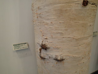 PA100334.JPG