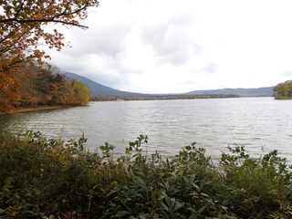 PA100365.JPG