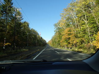 PA100408.JPG