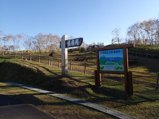 PA100422.JPG