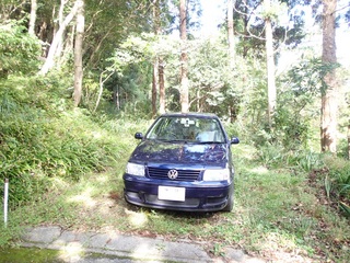 PA110002.JPG