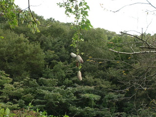 PA112113.JPG