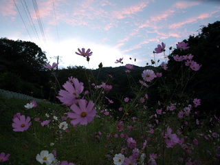 PA112216.JPG