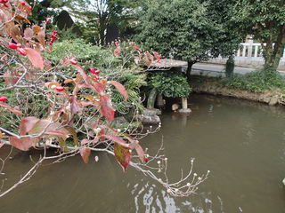 PA150021.JPG