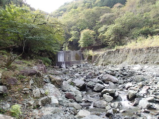 PA200043.JPG