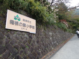 PA210016.JPG