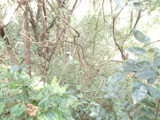PA230015.JPG