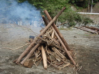 PA230029.JPG