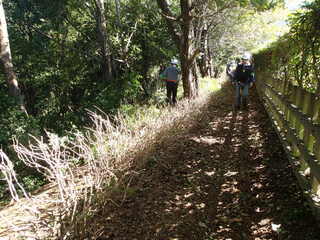 PA250037.JPG