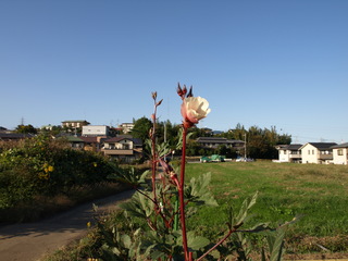 PA252541.JPG