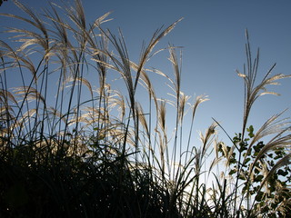 PA252575.JPG