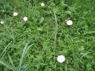 PA260001.JPG
